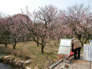 140316 009.JPG