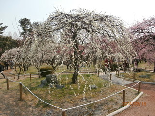 140316 011.JPG